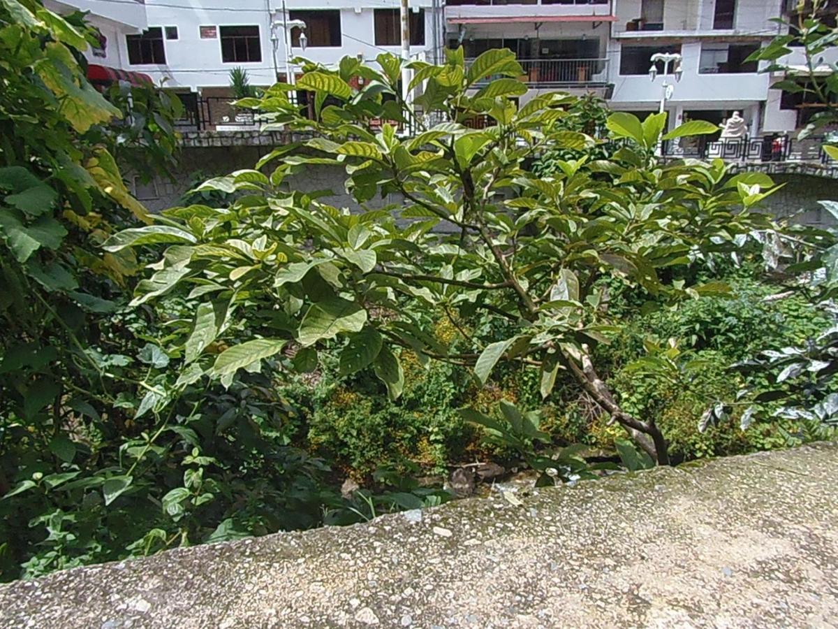 Hostal Pablo'S House 马丘比丘 外观 照片