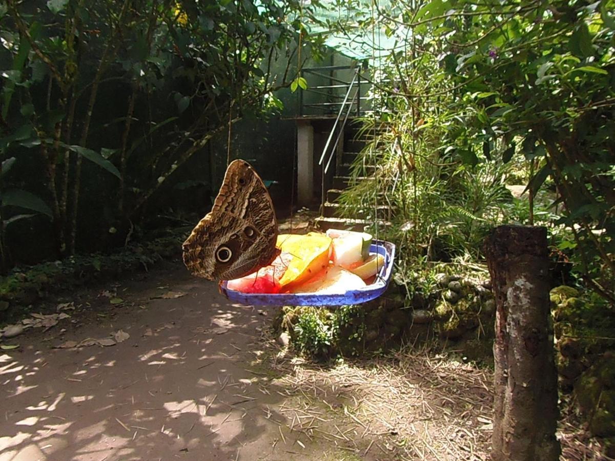 Hostal Pablo'S House 马丘比丘 外观 照片